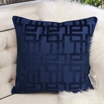 Ice 2024 blue pillows